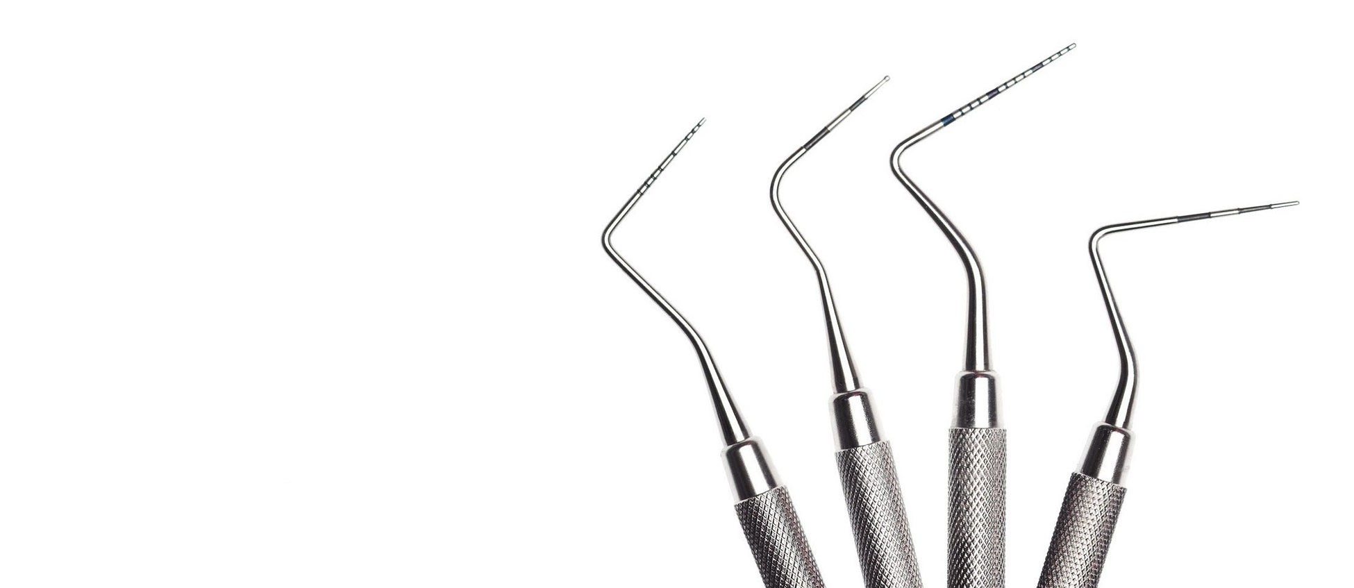 Banner_2_copy_1950x